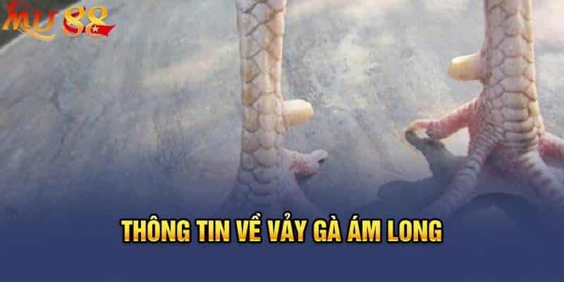 Tổng quan về đặc điểm vảy ám long ở các chiến kê